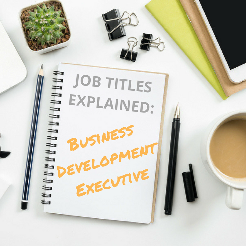 What Does A Business Development Executive Do