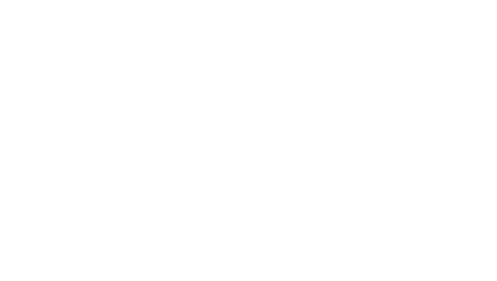 zinc